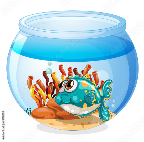 A fish inside the aquarium