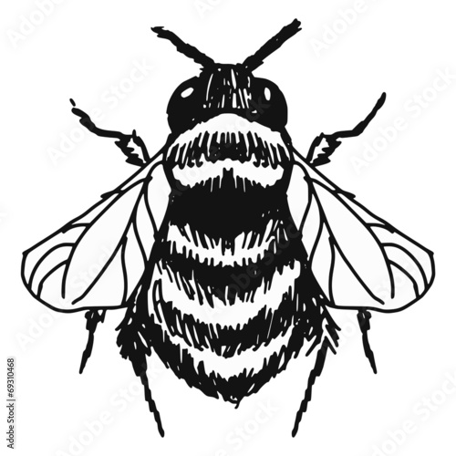 bumblebee
