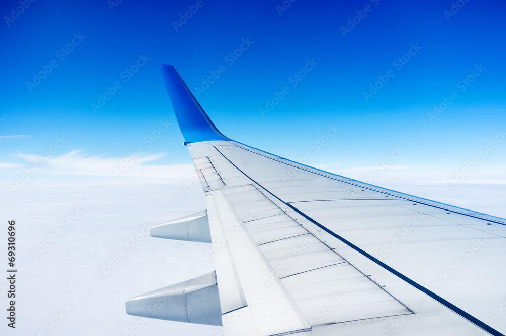 The plane's wings The plane's wings