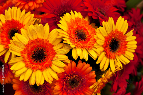 A bouquet of gerberas. Floral background.