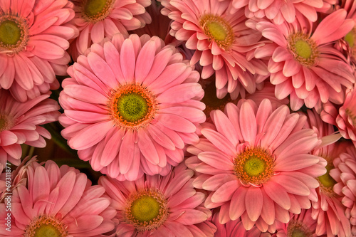 A bouquet of gerberas. Floral background.