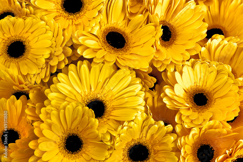 A bouquet of gerberas. Floral background.