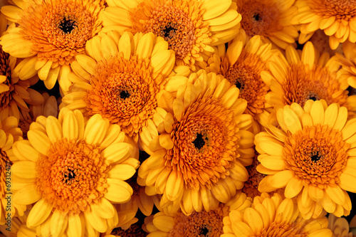 A bouquet of gerberas. Floral background.