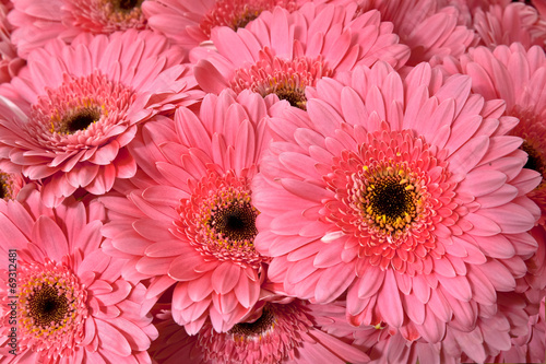 A bouquet of gerberas. Floral background.