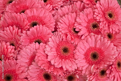 A bouquet of gerberas. Floral background.