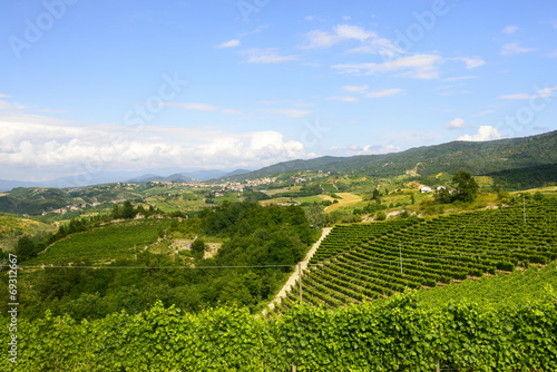 Summer landscape in Monferrato (Italy)