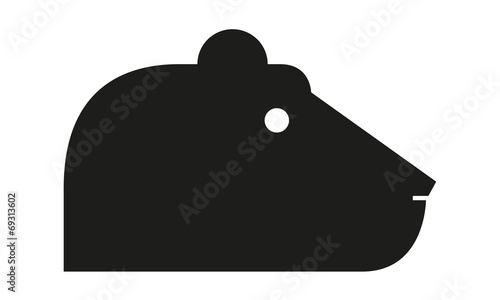 Bär Kopf Profil