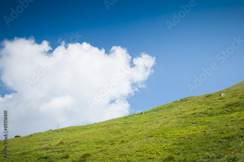 Green meadow and the blue sky