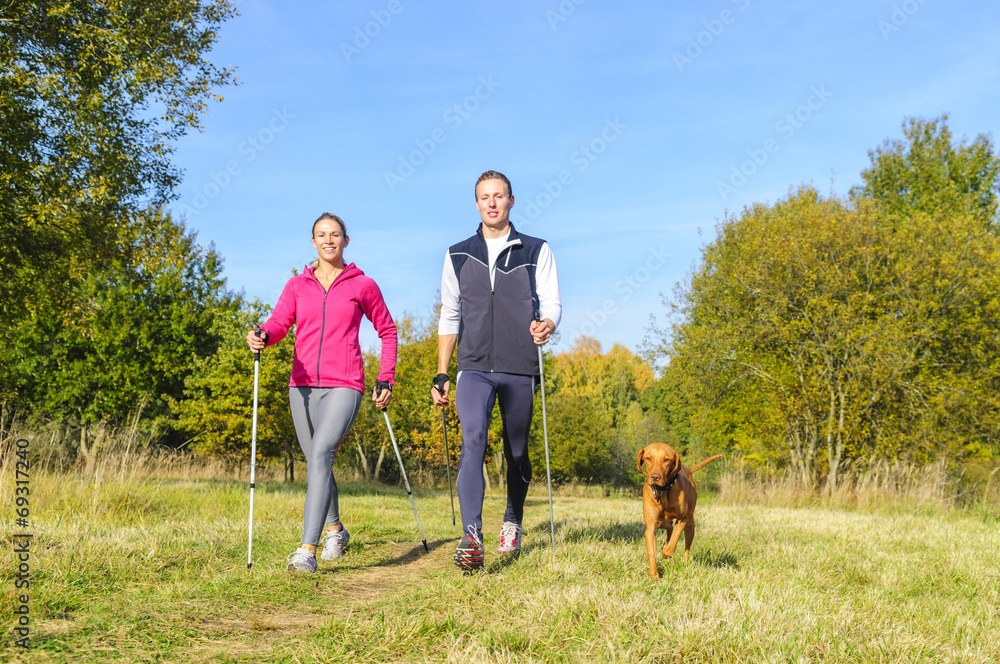 Fototapeta premium entspannte Walkingrunde im Herbst
