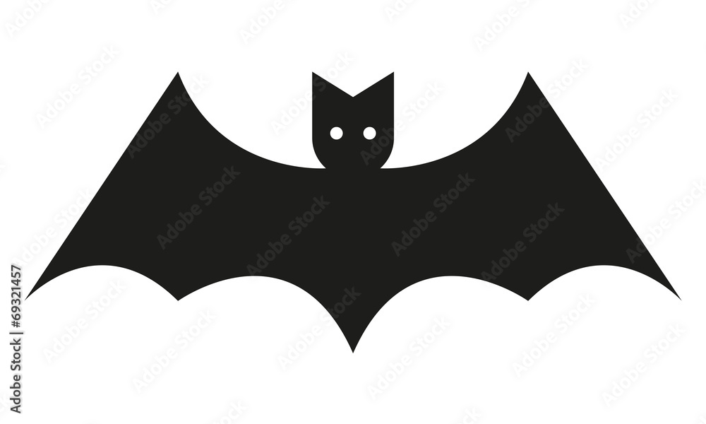 Fledermaus Fledermaus