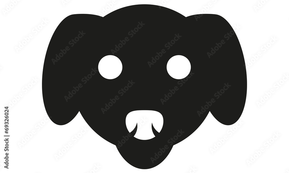 Fototapeta premium Labrador Kopf Frontal