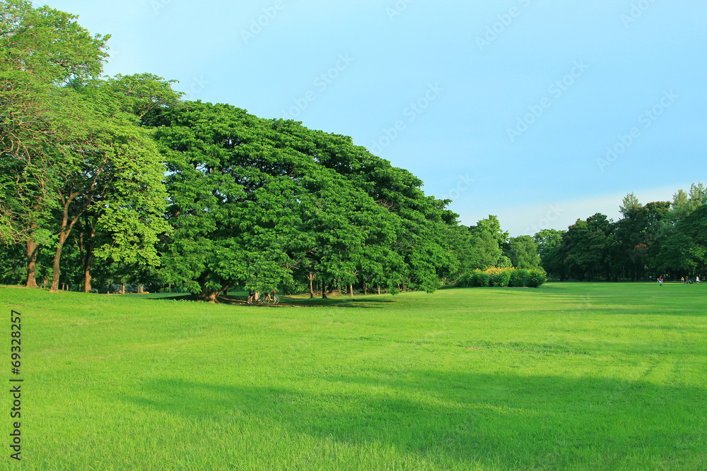 Green park outdoor