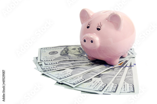 piggy bank on hundred dollars-new 2013 edition