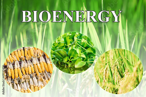Canvas-taulu Bioenergy wording for background