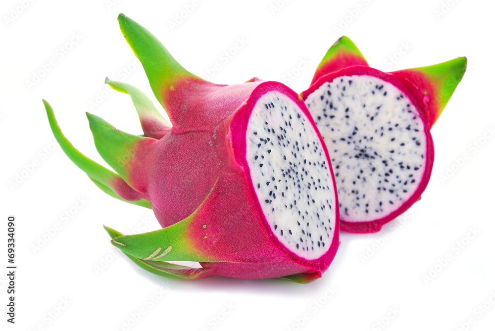 Dragon Fruit Dragon Fruit