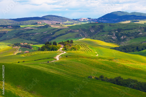 Typical summer rural landscape   Tuscany  Italy
