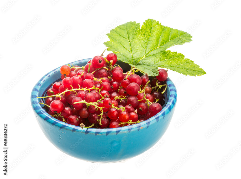 Red currant Red currant