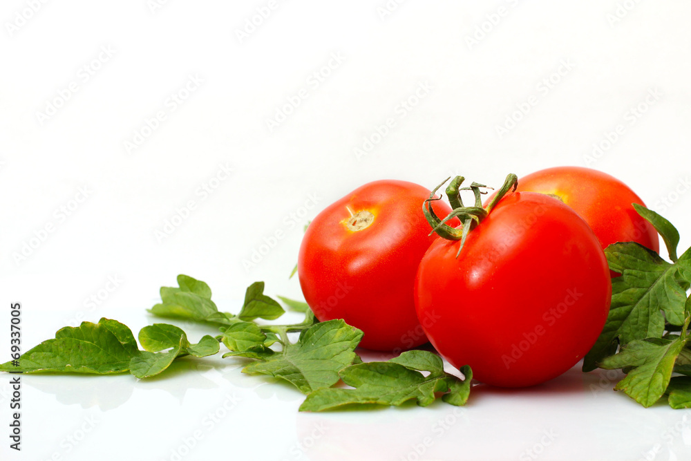 Tomato vegetables and leaves still life on white background Tomato vegetables and leaves still life on white background