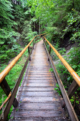 footbridge