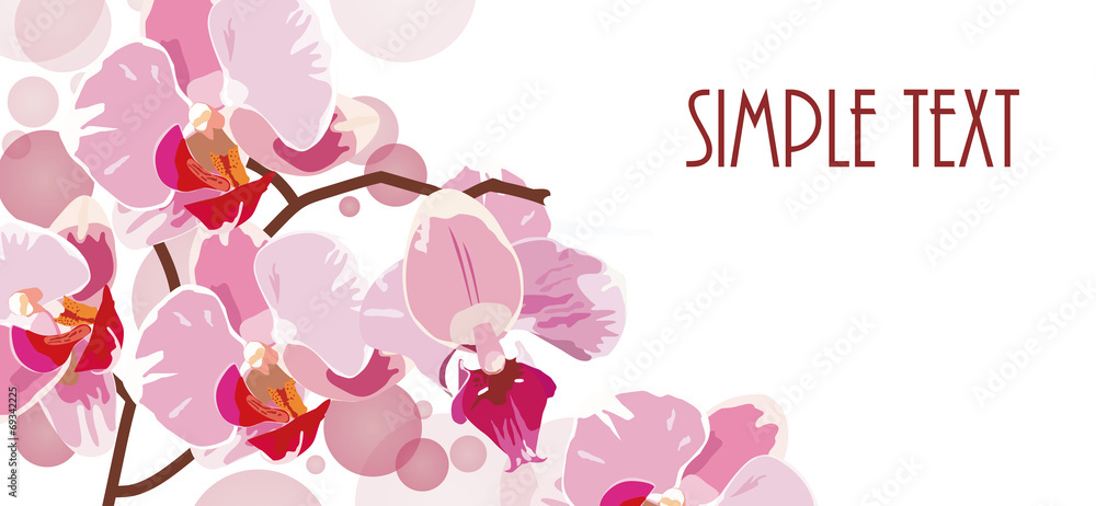 vector horizontal background with red orchids