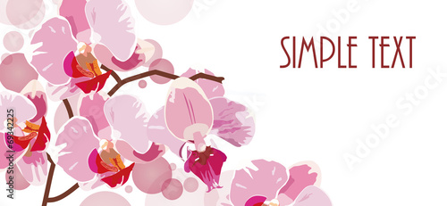 vector horizontal background with red orchids