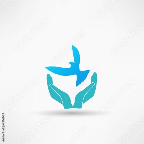 hands and dove icon