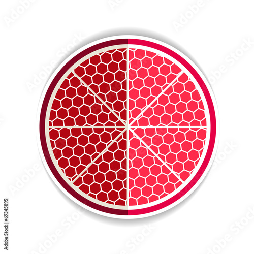 vector illustration of red garnet flat icon