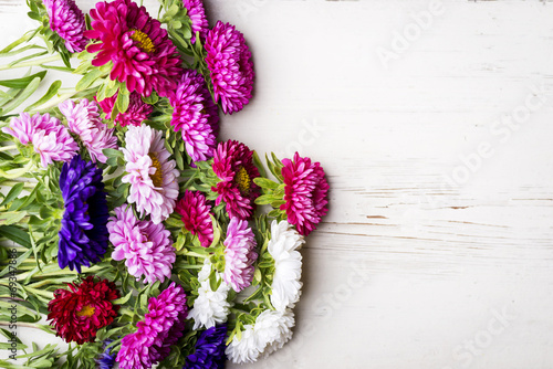 Fototapeta Naklejka Na Ścianę i Meble -  Aster flowers