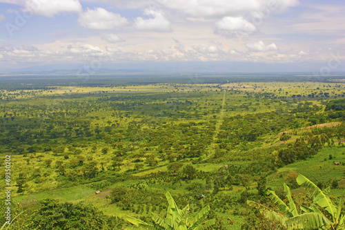 Panoramic View in the Plains of Africa