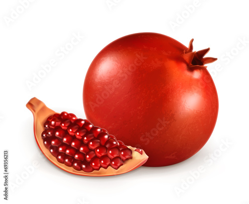 Pomegranate, vector illustration