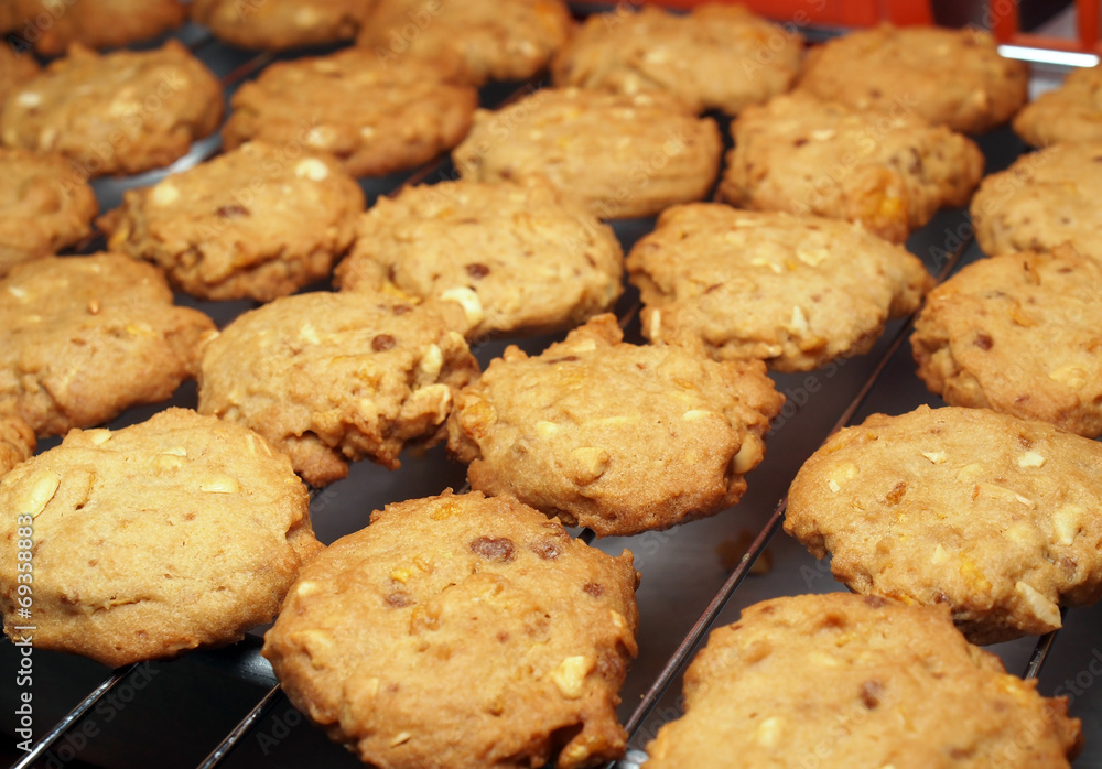 Cashew nut cookies on steel grid after oven Cashew nut cookies on steel grid after oven