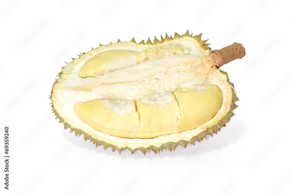 Obraz premium Durian