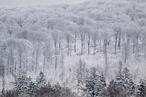 Verschneiter Winterwald im Taunus © cmfotoworks