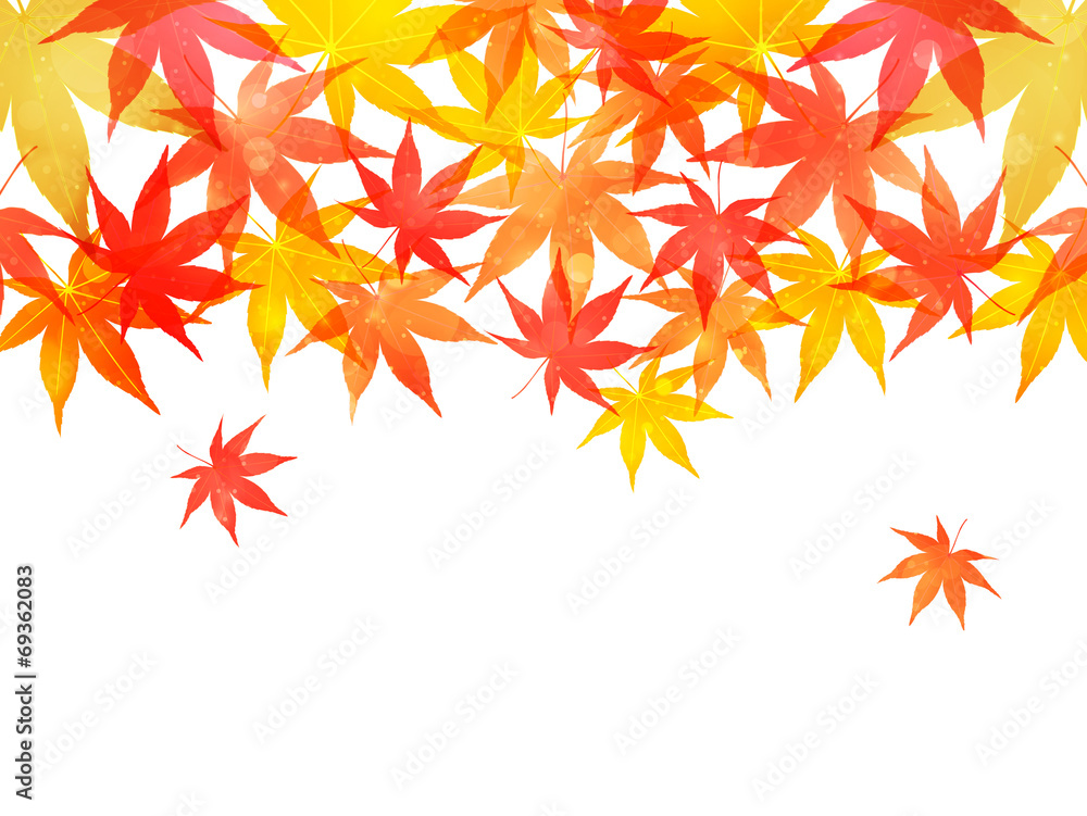 もみじ 紅葉 背景 もみじ 紅葉 背景