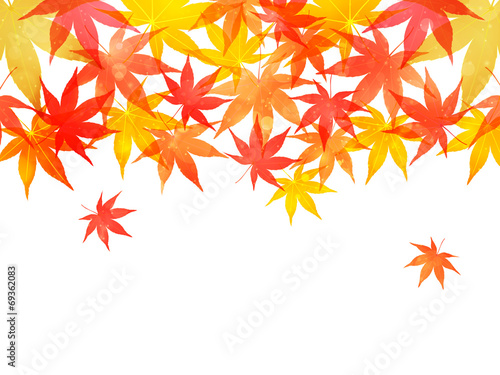 もみじ　紅葉　背景