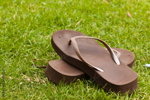 the slipper on grass