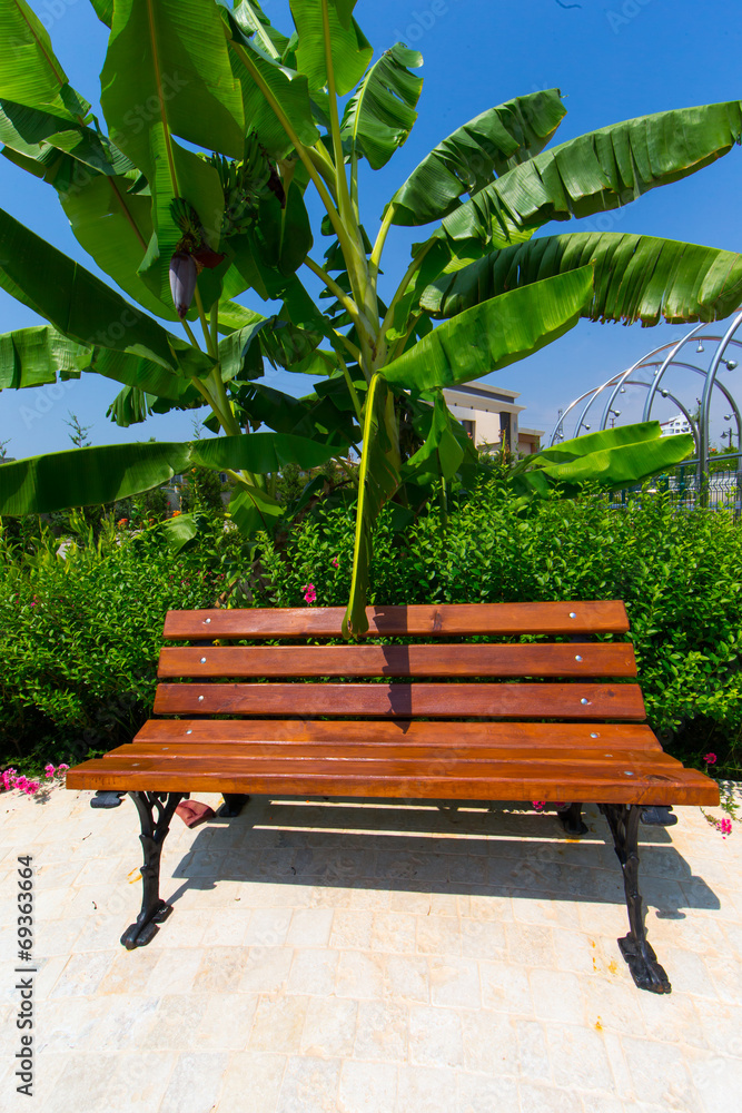 Obraz premium Tropic flora