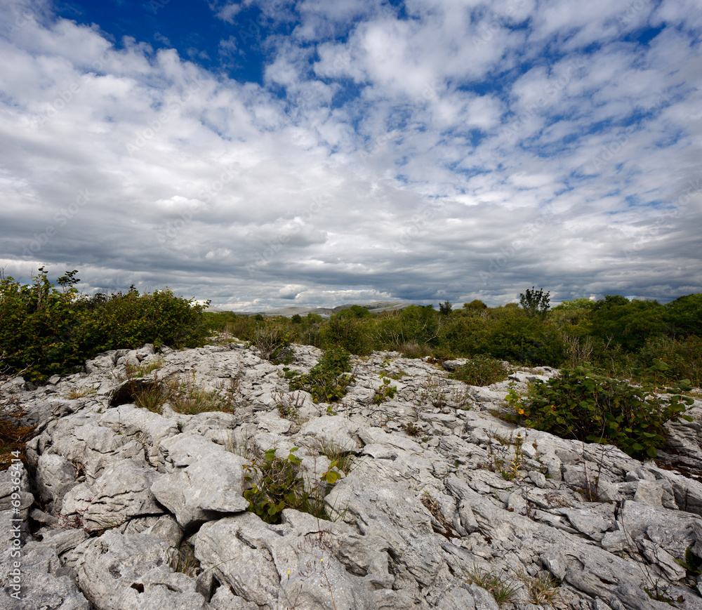 Rocky landscape of The Burren in County Clare, Ireland Rocky landscape of The Burren in County Clare, Ireland