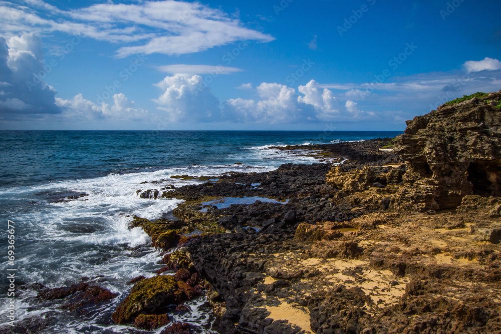Rocky Hawaiian shore