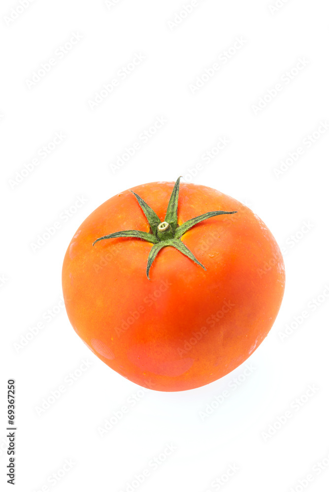 Tomato Tomato