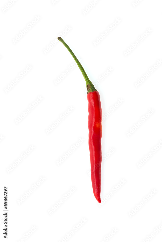 Chilli isolated on white Chilli isolated on white