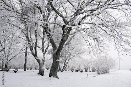 Verschneiter Winterwald