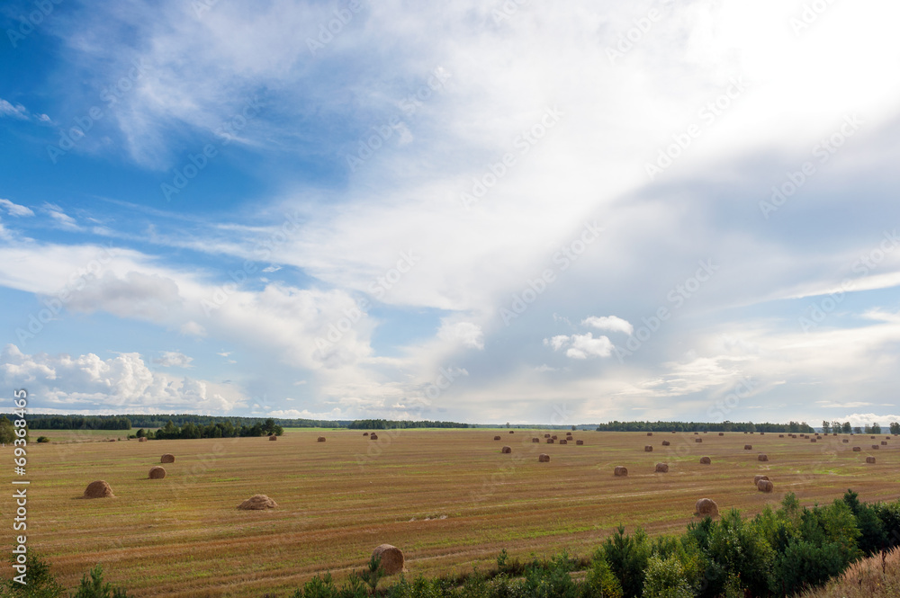 Field and clouds with hay bales