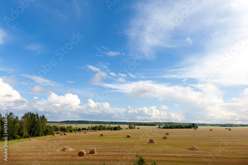 Field under sky with hay bales