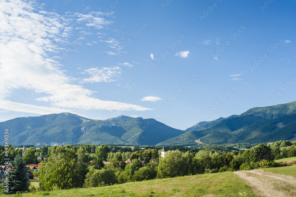 Naklejka premium Village in summers