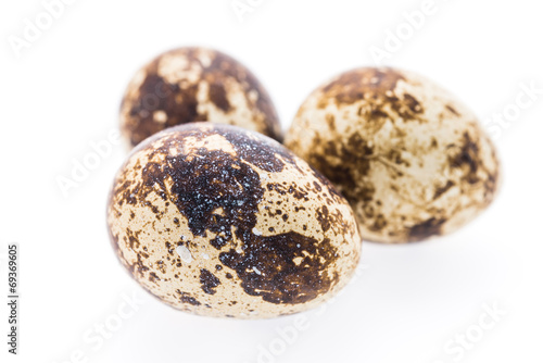 Quail eggs isolated