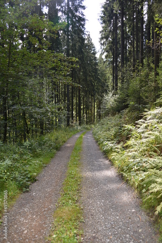 Sauerland in Germany