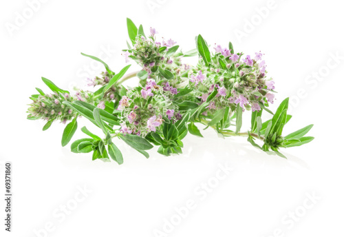 Thyme flowers isolated on white background