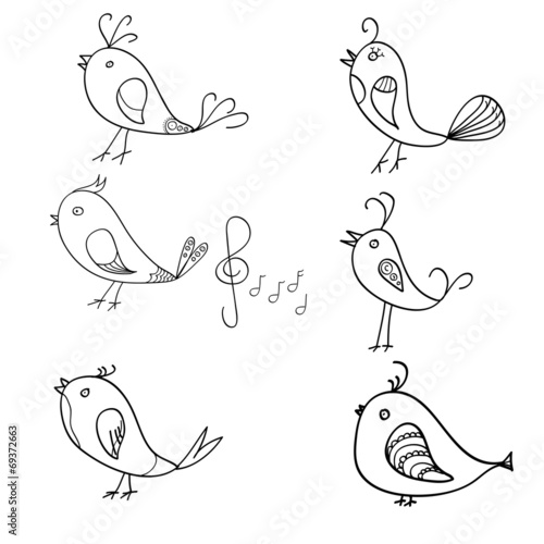 Singin birds doodle