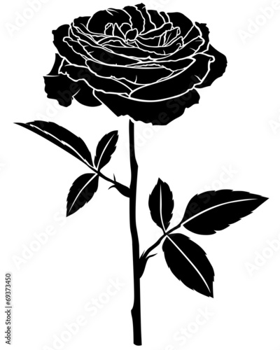 Rose flower silhouette